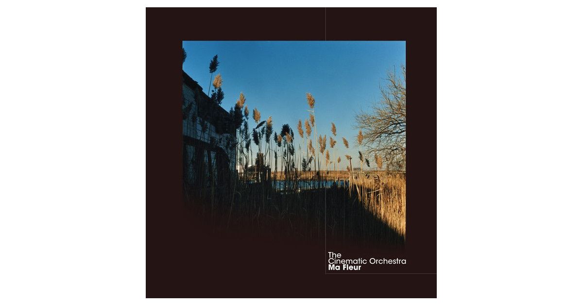 Cinematic orchestra to build. Cinematic Orchestra "ma fleur". The Cinematic Orchestra альбомы. To build a Home the Cinematic Orchestra. The Cinematic Orchestra ma fleur Cover.
