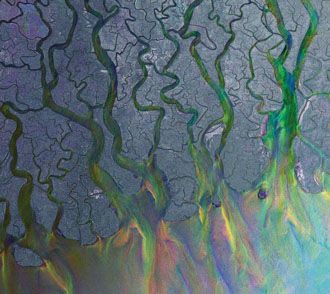 Alt-J - An Awesome Wave - CD