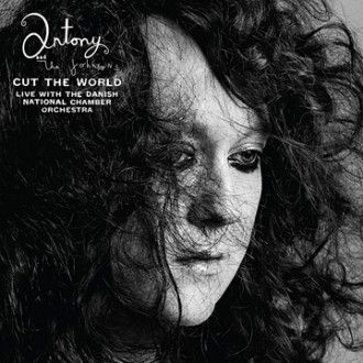 Antony & The Johnsons - Cut The World - CD