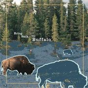 Bring Back The Buffalo  - Untitled - CD