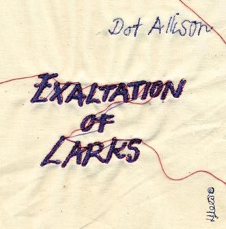 Dot Allison - Exaltation Of Larks - CD
