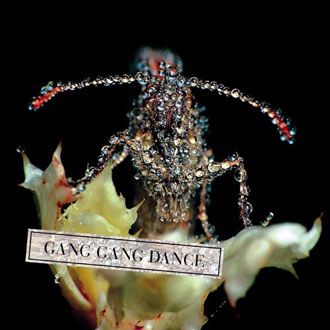 Gang Gang Dance - Eye Contact - CD
