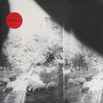 Godspeed You Black Emperor! - Asunder, Sweet And Other Distress - LP