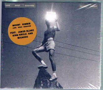 Mount Kimbie - Love What Survives - CD