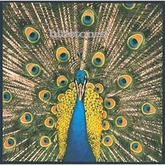 The Bluetones - Expecting The Fly - LP