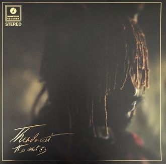 Thundercat - It Is What It Is - Deluxe LP