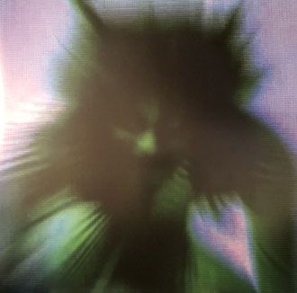 Yves Tumor - Safe In The Hands Of Love - 2LP