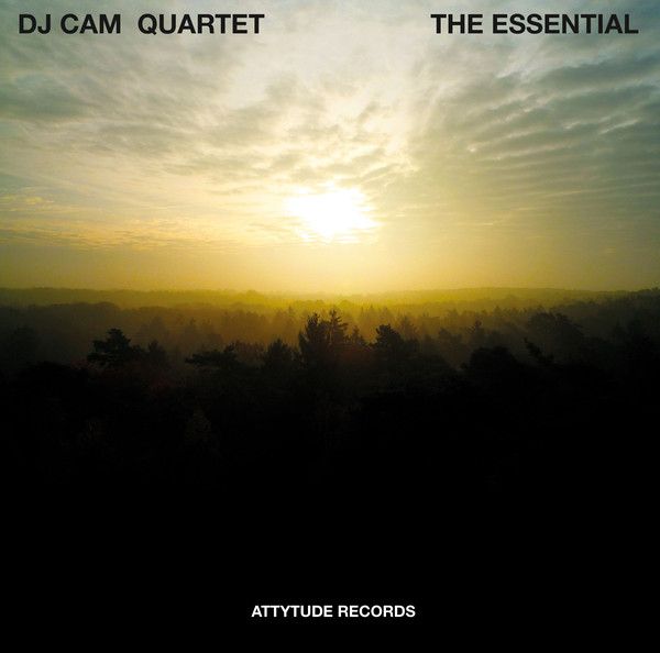 DJ Cam Quartet - The Essential - LP DJ Cam Quartet - The Essential - LP