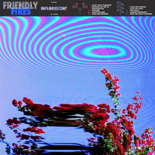 Friendly Fires - Inflorescent - LP