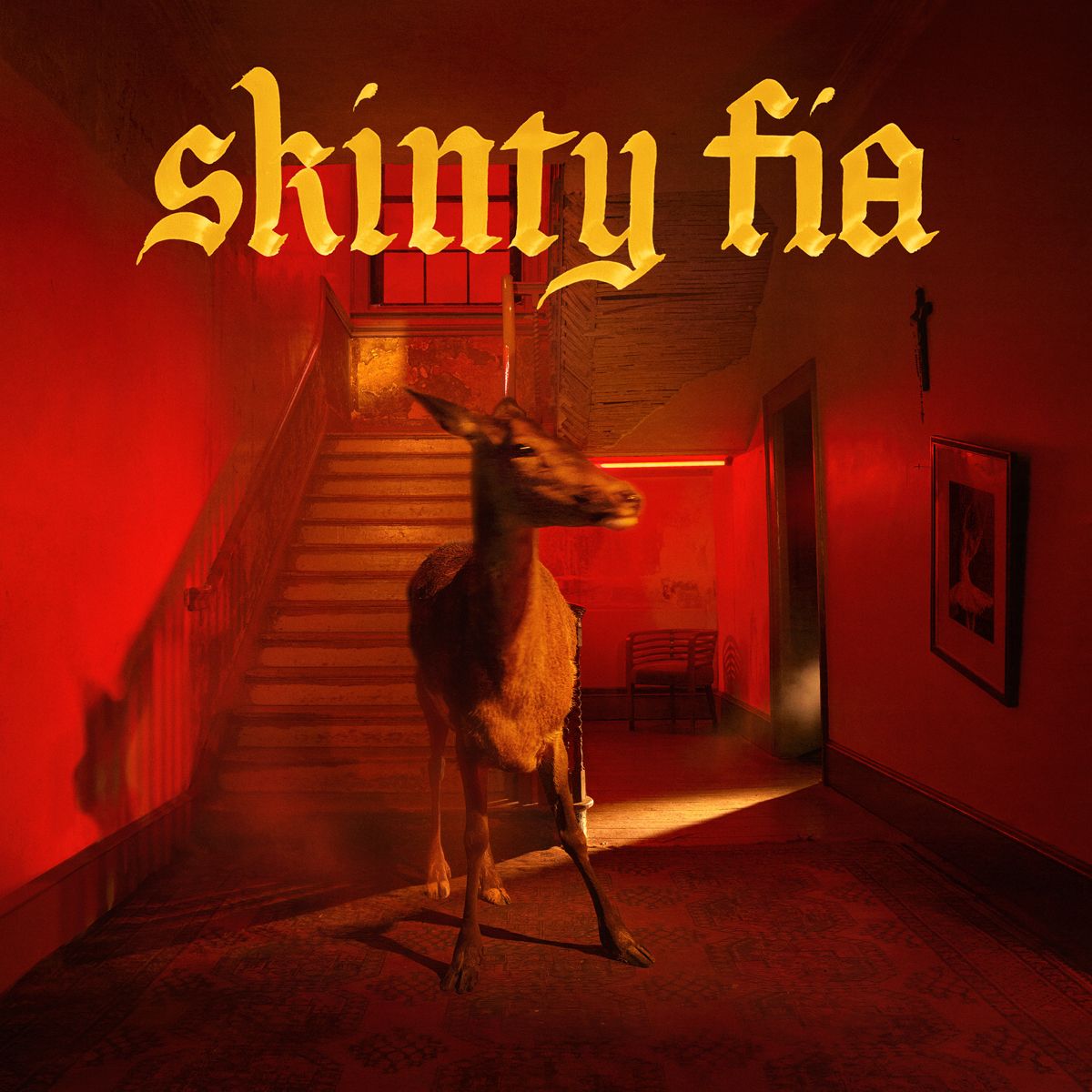 Fontaines D.C. - Skinty Fia - LP