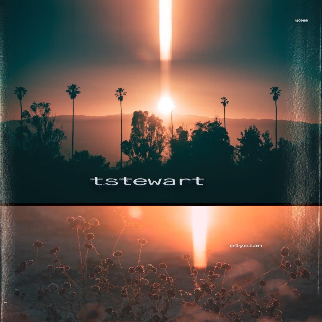 Tstewart (Machinedrum) - Elysian - LP