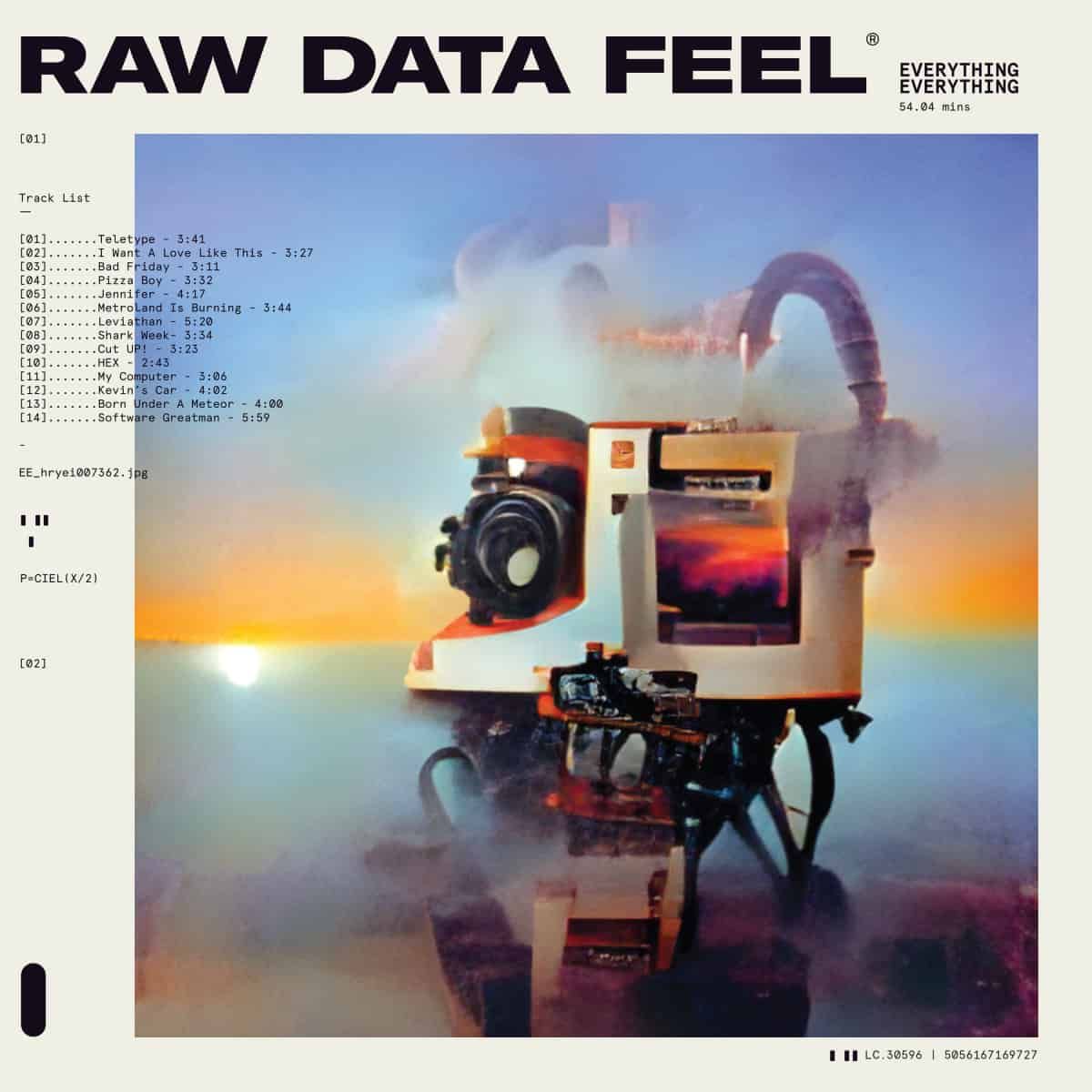 Everything Everything - Raw Data Feel - LP