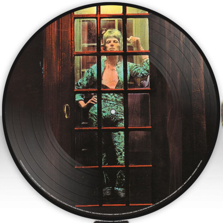 David Bowie - The Rise and Fall of Ziggy Stardust and the Spiders From Mars - LP Pic.