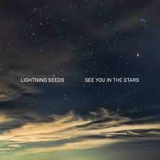Lightning Seeds - See You In the Stars - LP