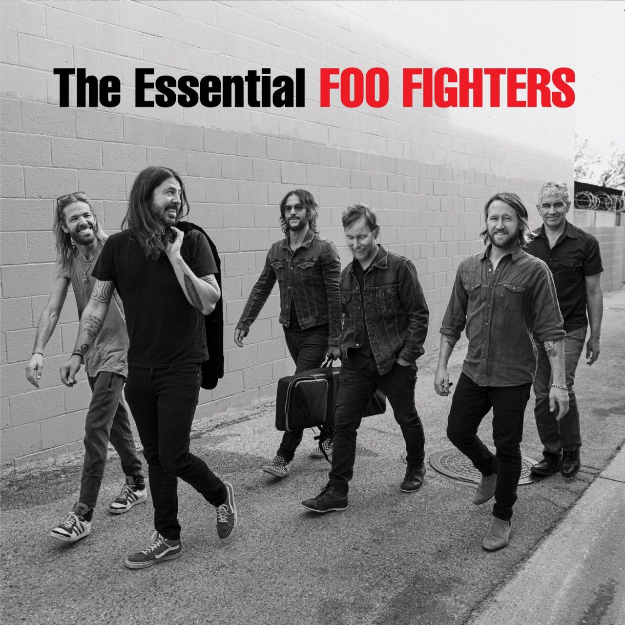 Foo Fighters - The Essential Foo Fighters - 2LP