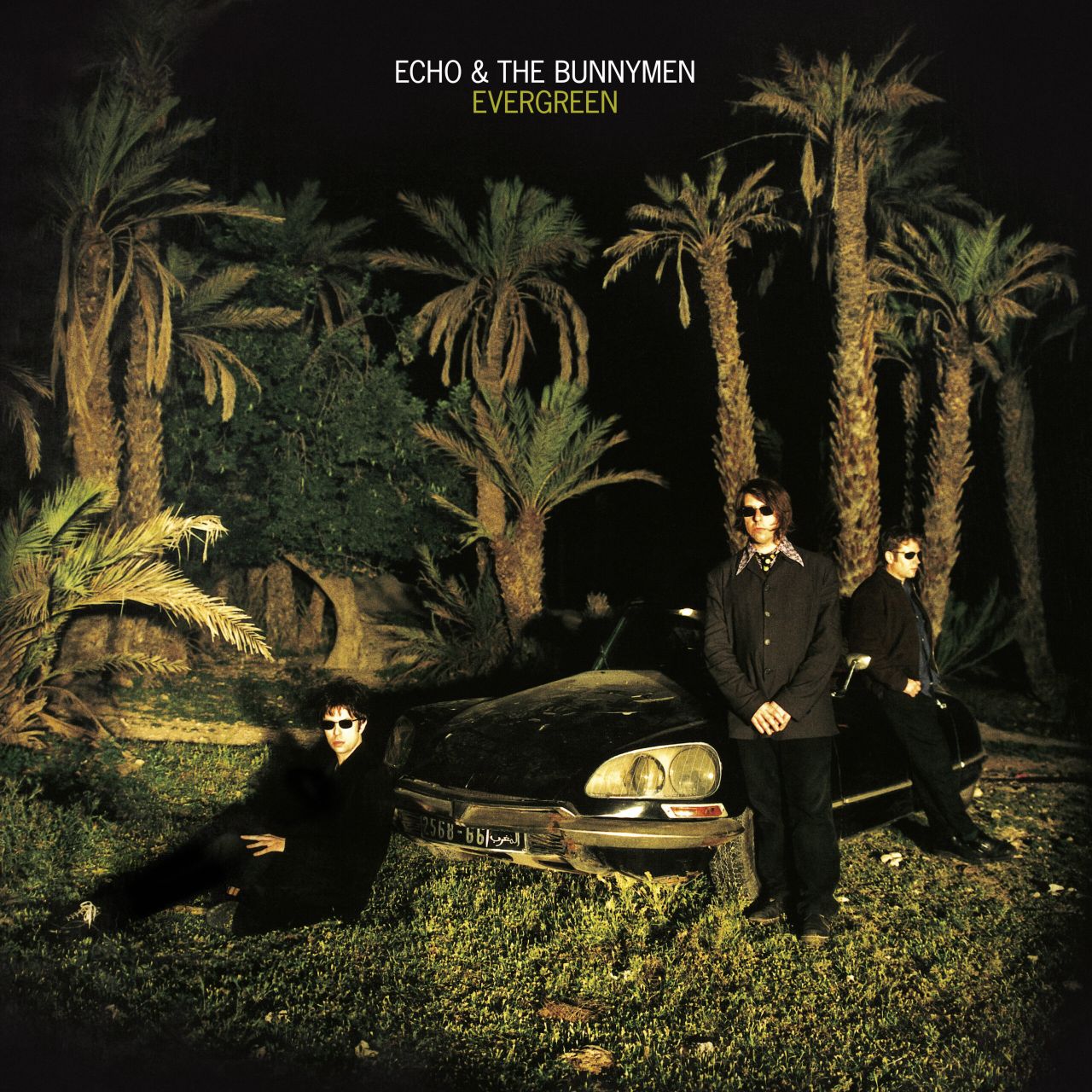 Echo & The Bunnymen - Evergreen - LP