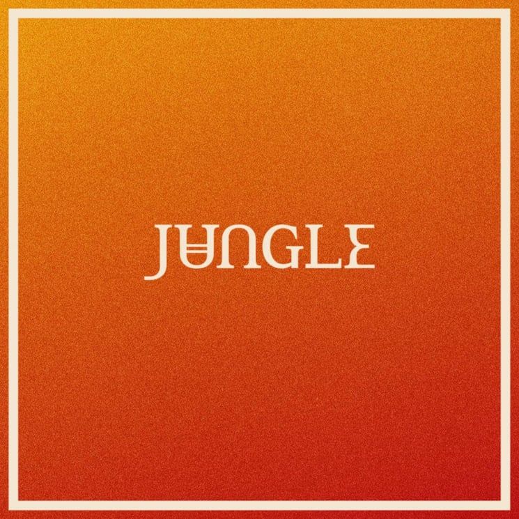 Jungle - Volcano - LP