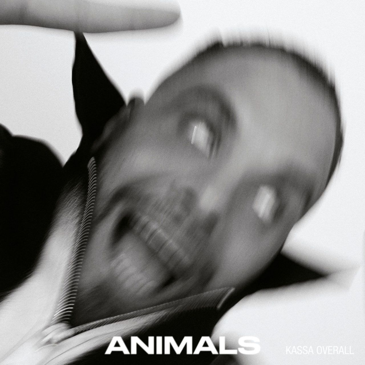 Kassa Overall - Animals - CD