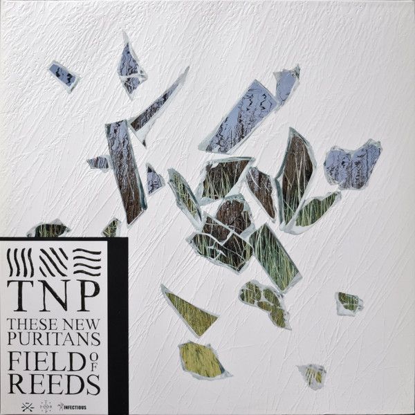 These New Puritans - Fields Of Reed - 2LP Anniv.