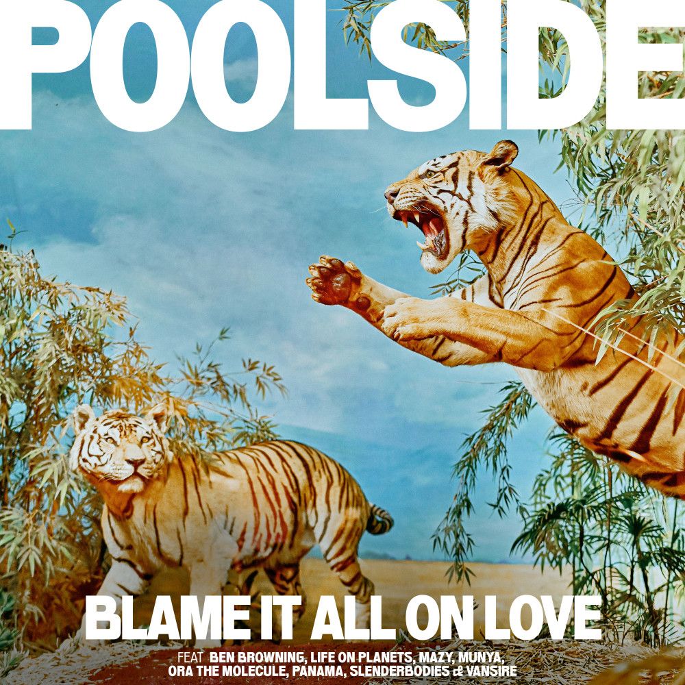 Poolside - Blame It All On Love - LP