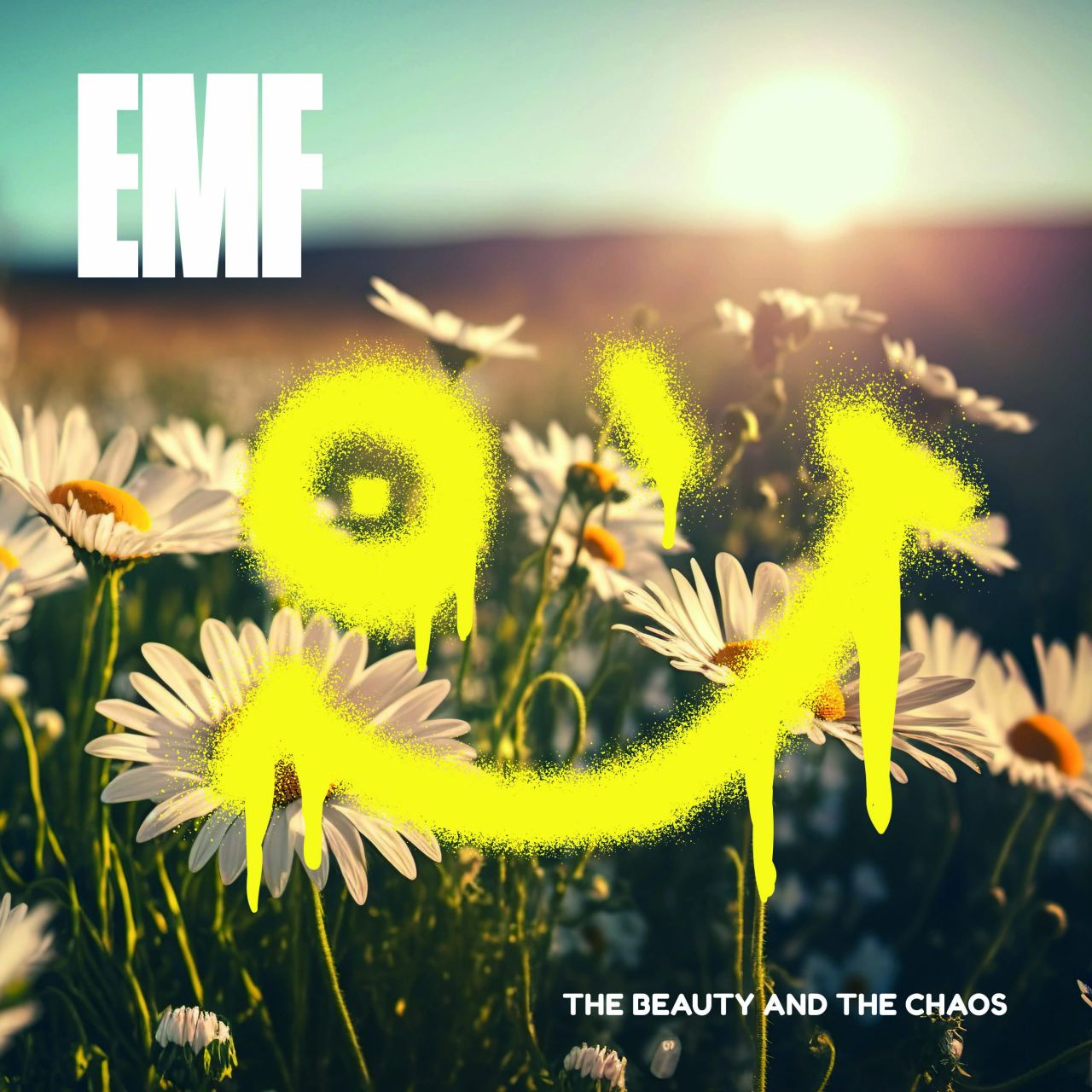 EMF - The Beauty & The Chaos - LP