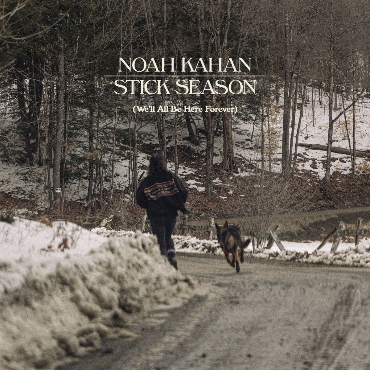 Noah Kahan - Stick Season - 3LP