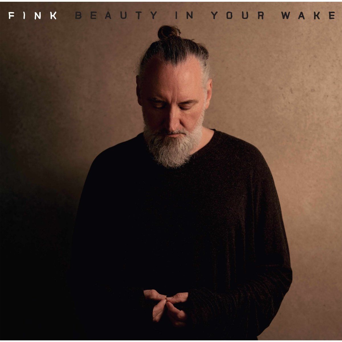 Fink - Beauty In The Wake - CD