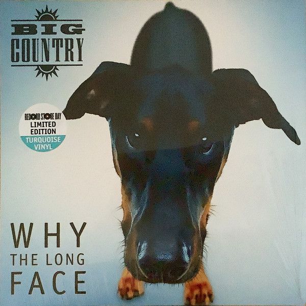 Big Country - Why The Long Face - LP