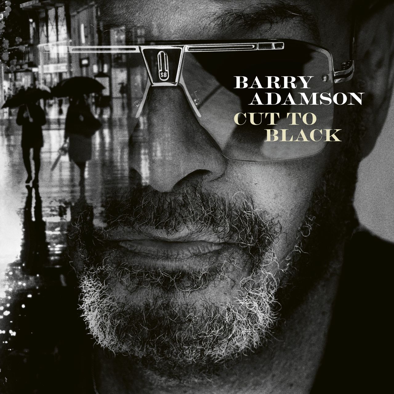 Barry Adamson - Cut To Black - LP