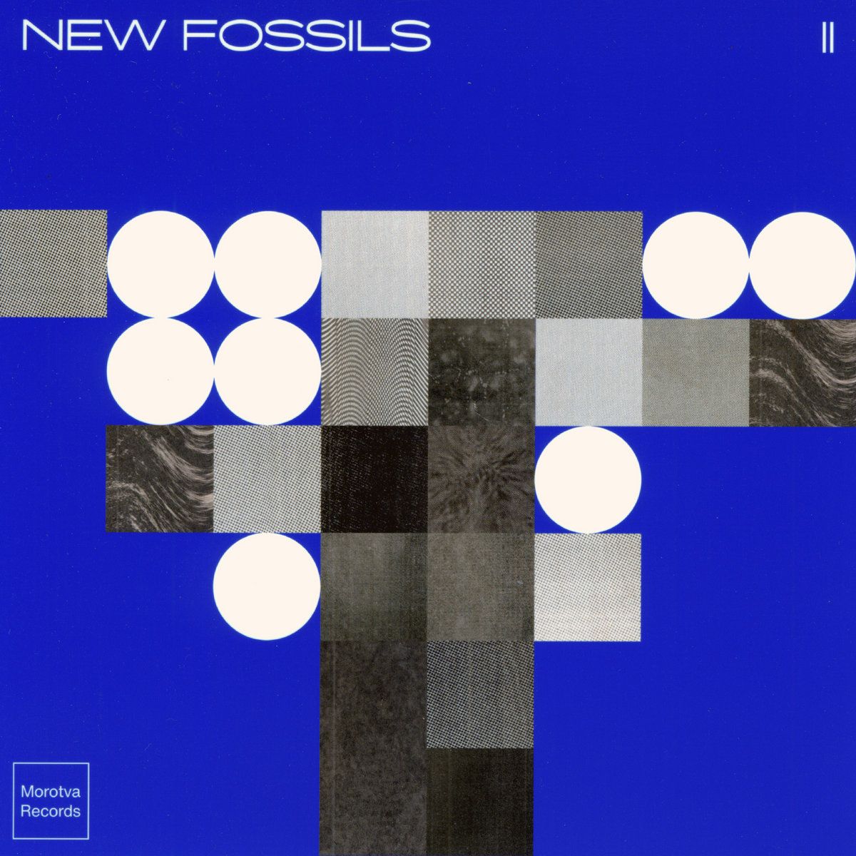 New Fossils - New Fossils II - LP