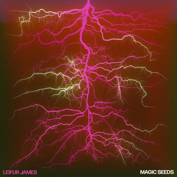 Leifur James - Magic Seeds - LP