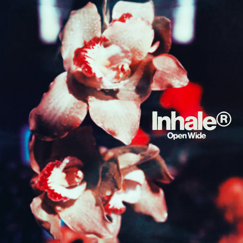 Inhaler - Open Wide - LP