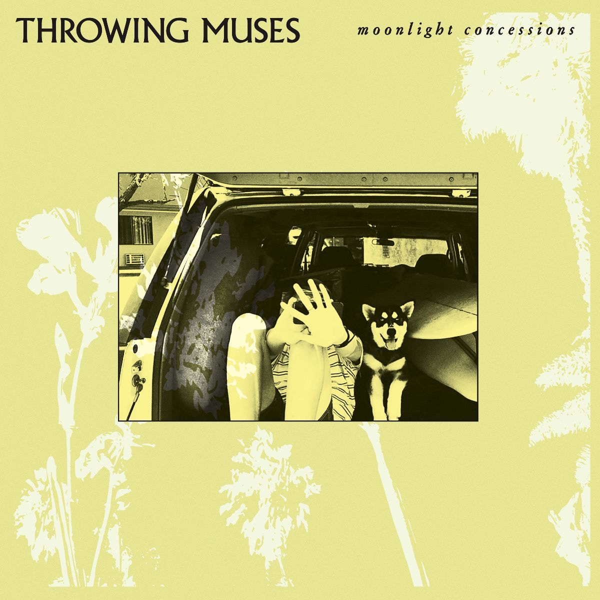 Throwing Muses - Moonlight Concessions - LP