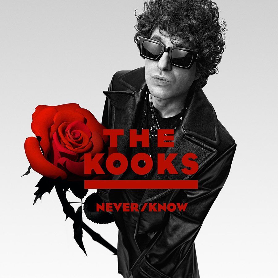 The Kooks - Never/Know - LP The Kooks - Never/Know - LP