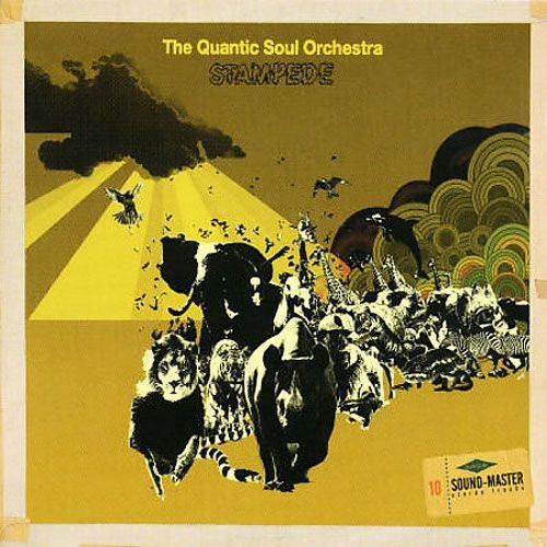 The Quantic Soul Orchestra - Stampede - LP The Quantic Soul Orchestra - Stampede - LP