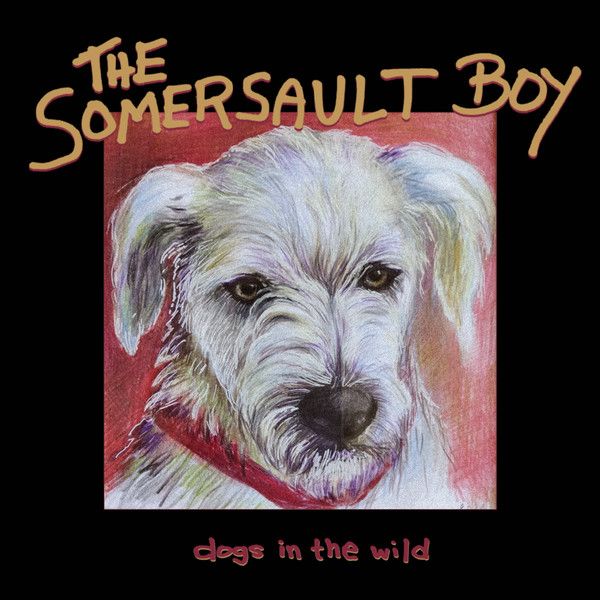 The Somersault Boy - Dogs In The Wild - CD The Somersault Boy - Dogs In The Wild - CD