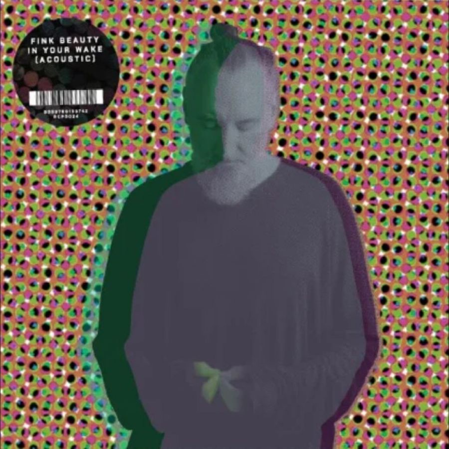 Fink - Beauty In Your Wake Acoustic - LP Fink - Beauty In Your Wake Acoustic - LP