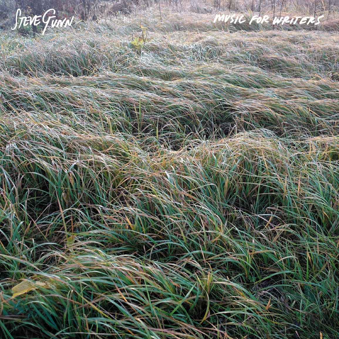 Steve Gunn - Music For Writers - LP Steve Gunn - Music For Writers - LP