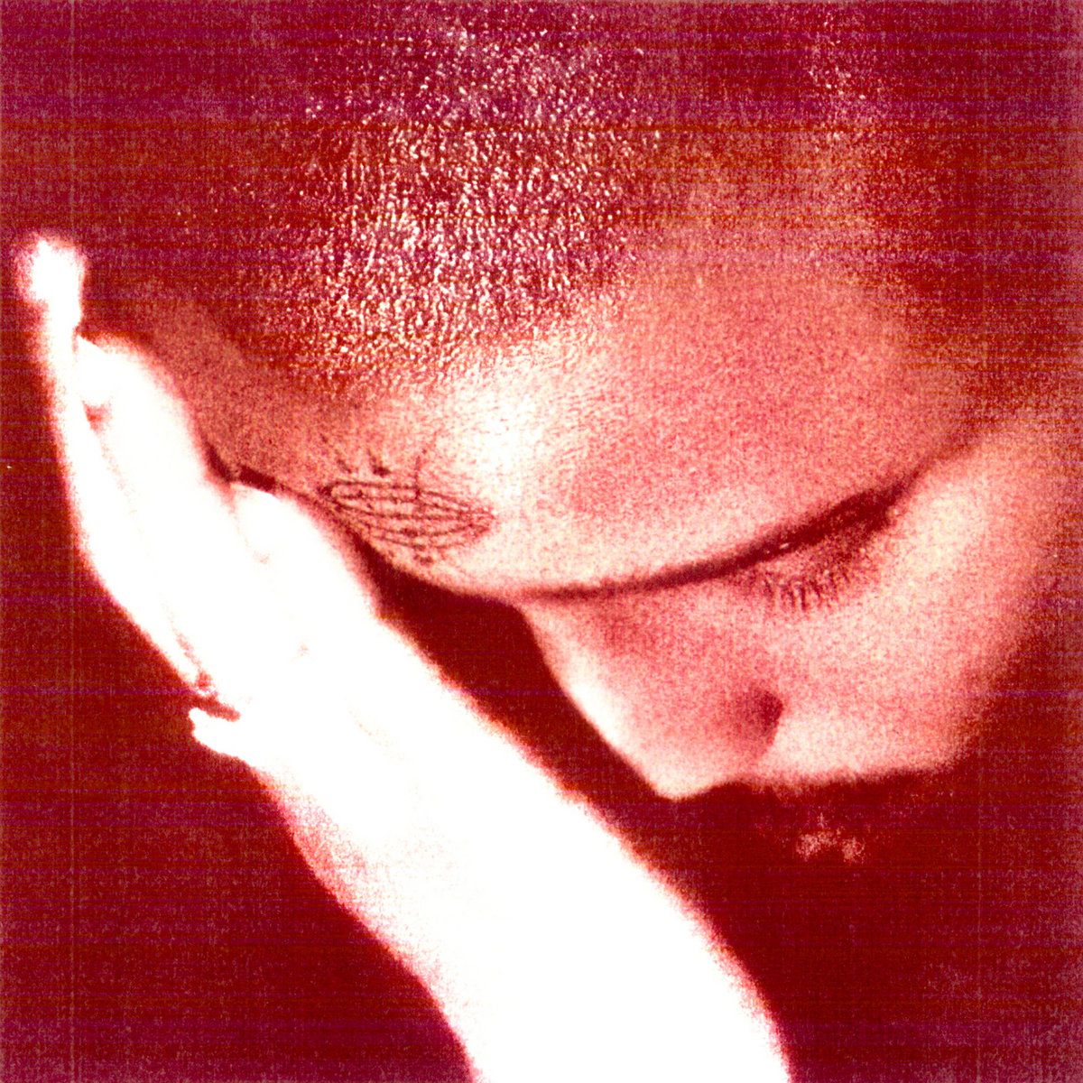 Nourished By Time - The Passionate Ones - LP Nourished By Time - The Passionate Ones - LP