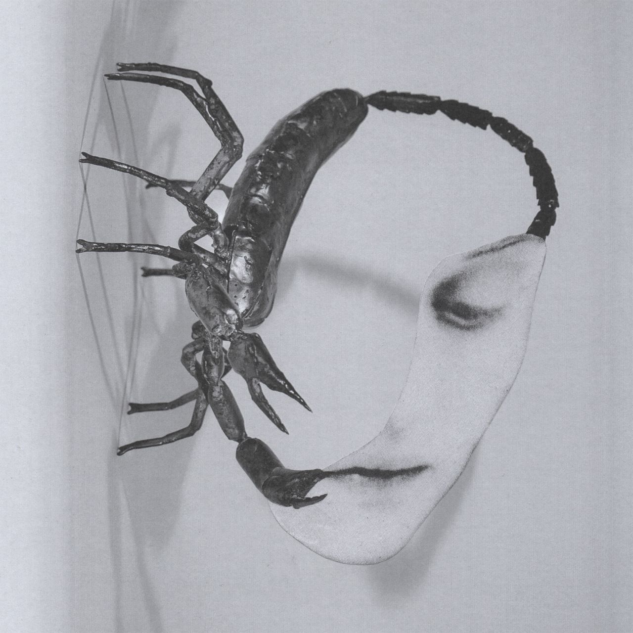 Tortoise - Touch - LP Tortoise - Touch - LP