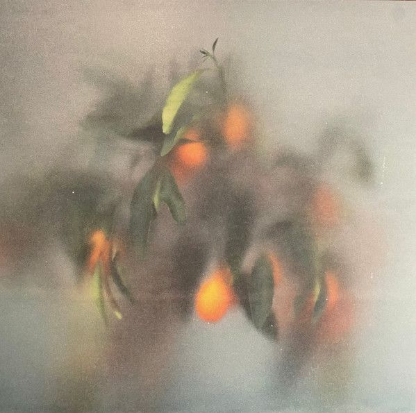 µ-Ziq & Mrs Jynx - Secret Garden - LP