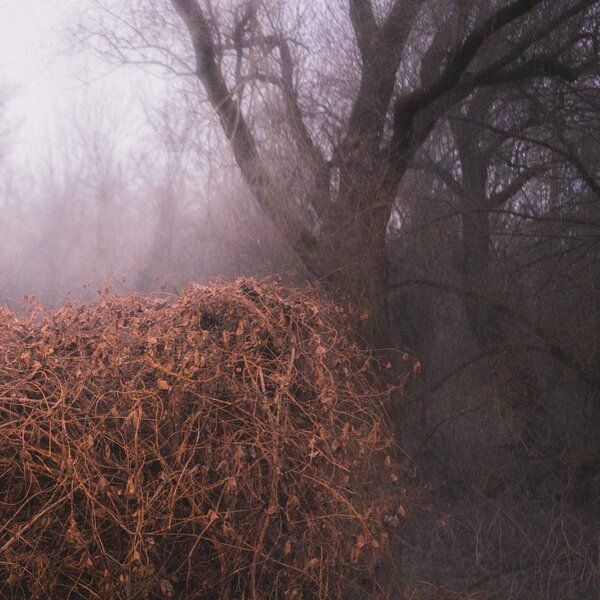 The Devil's Trade - Nincs Szennyezetlen Szép - LP