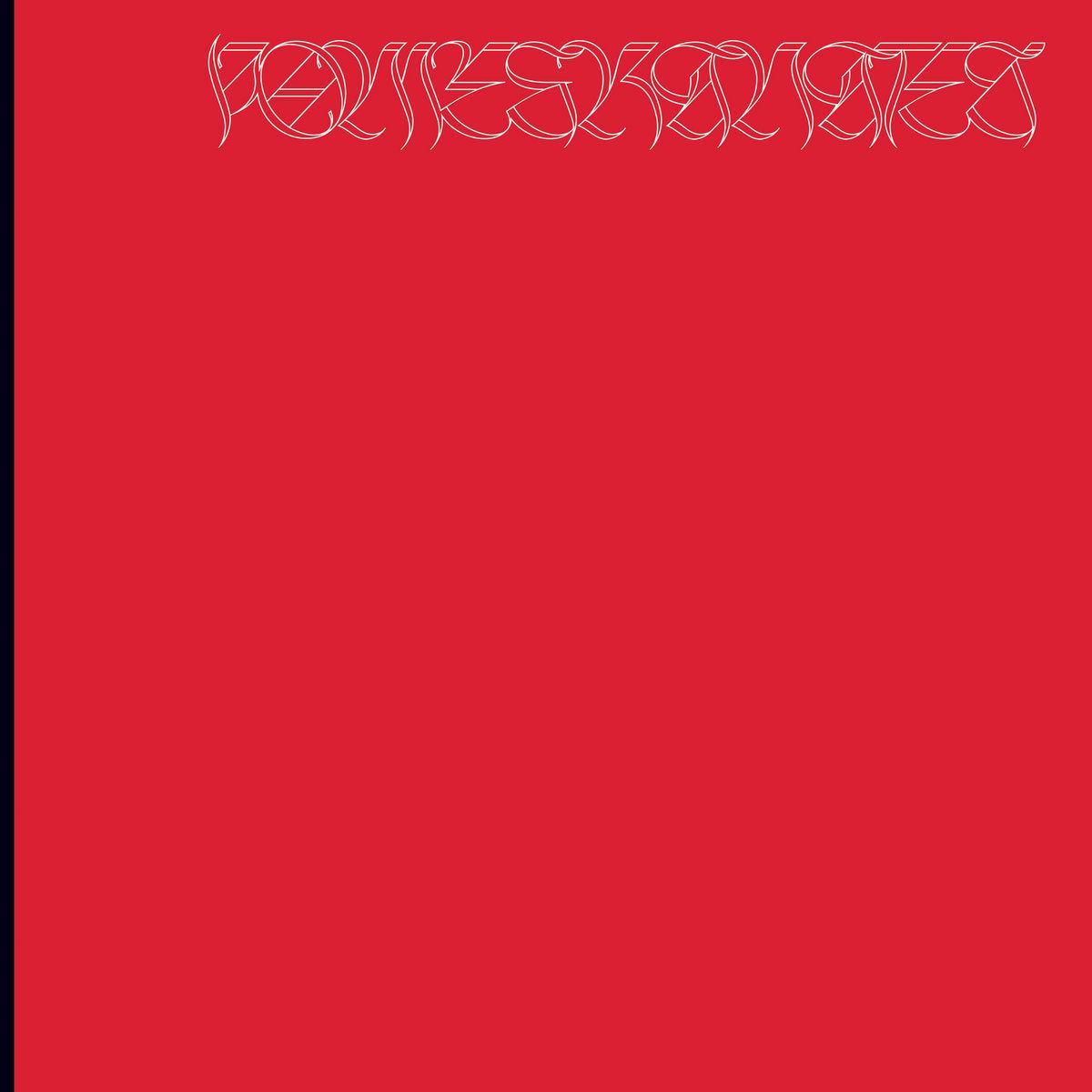 Nicolas Jaar - Pomegranates - 2LP