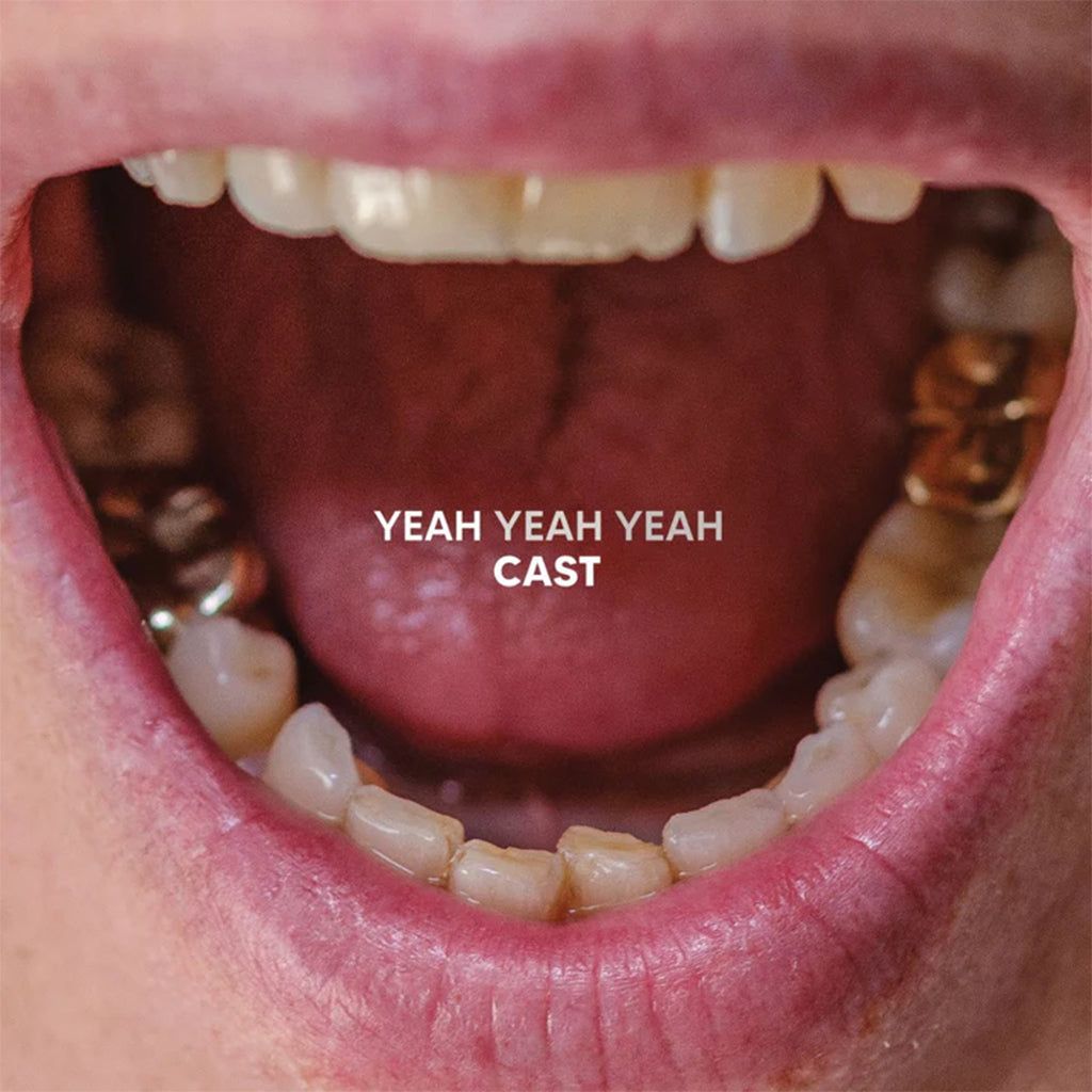 Yeah Yeah Yeahs - Cast - LP