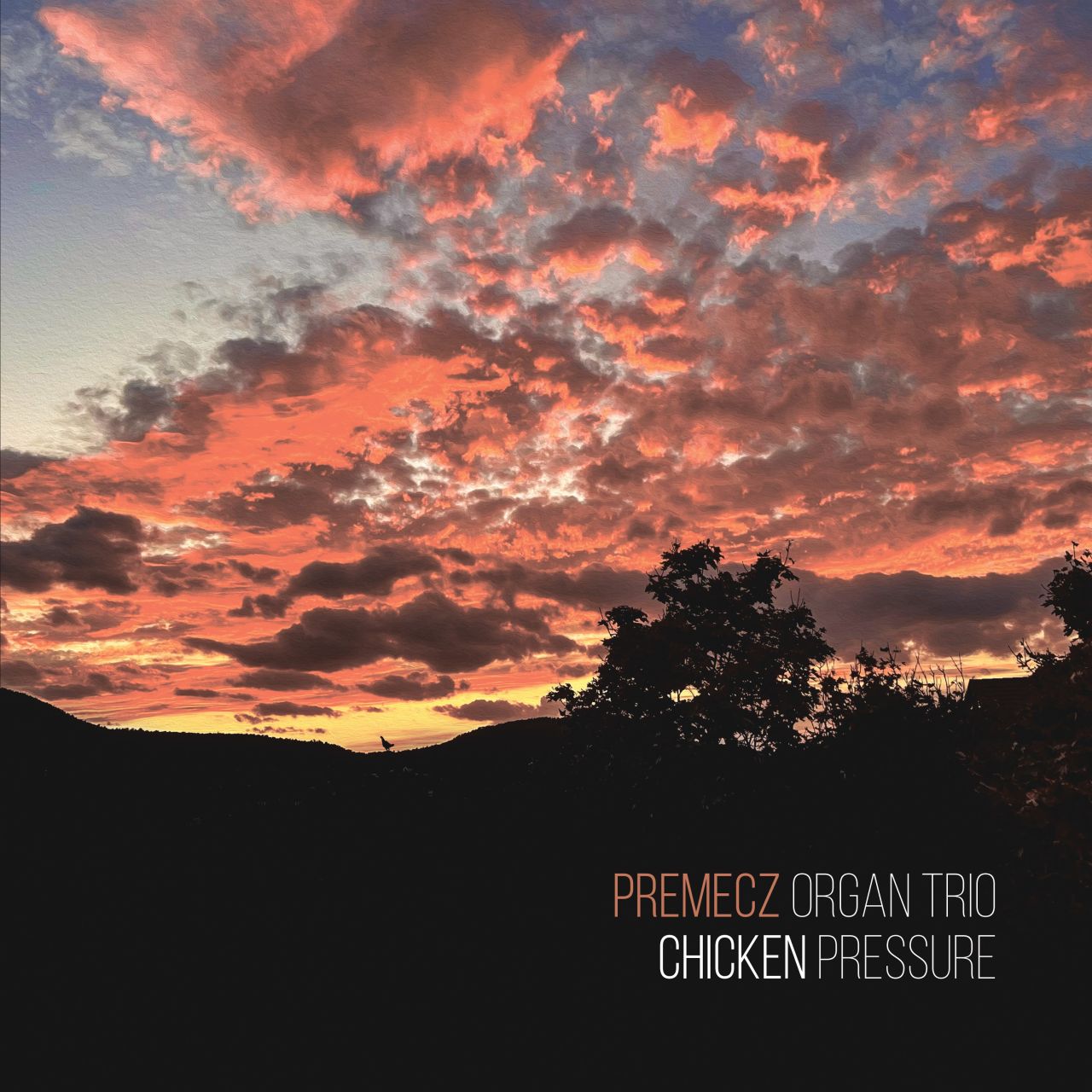 Premecz Organ Trio - Chiken Pressure - LP