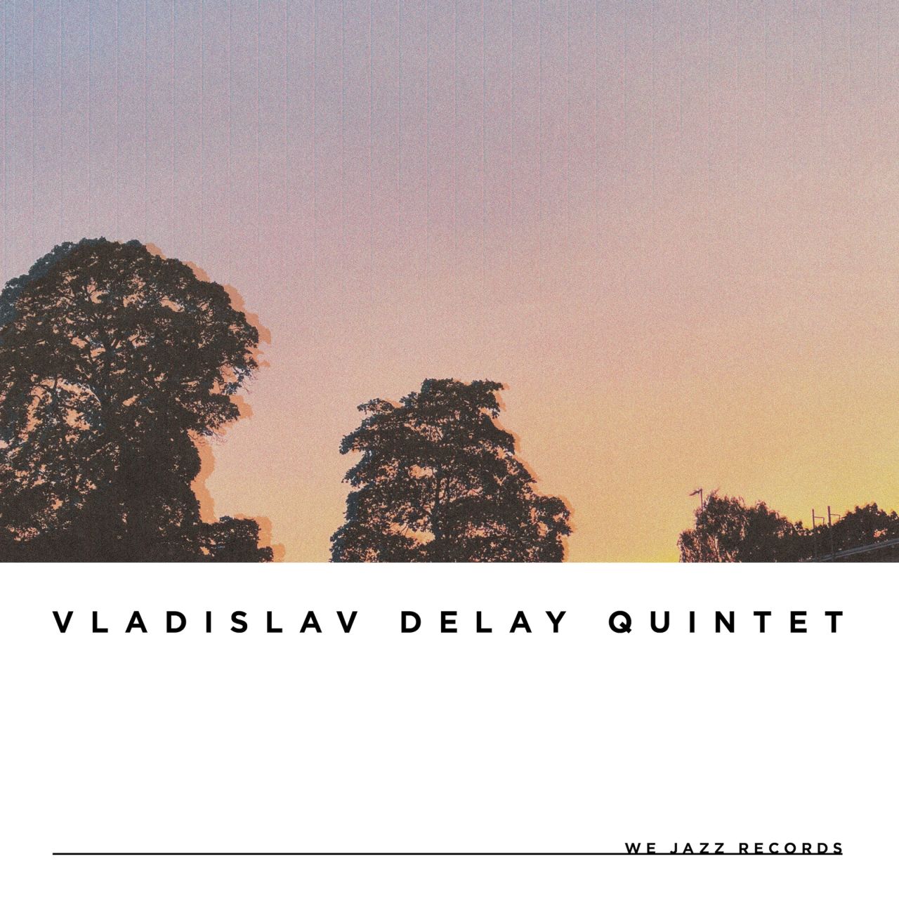 Vladislav Delay Quintet - vd5 - LP