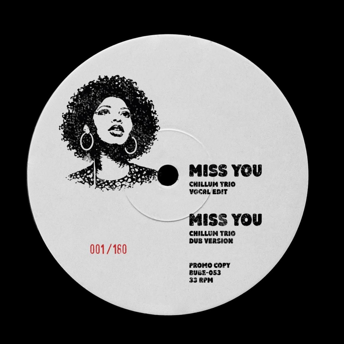 Various Artistst - BudaBootie 2 - 12" EP