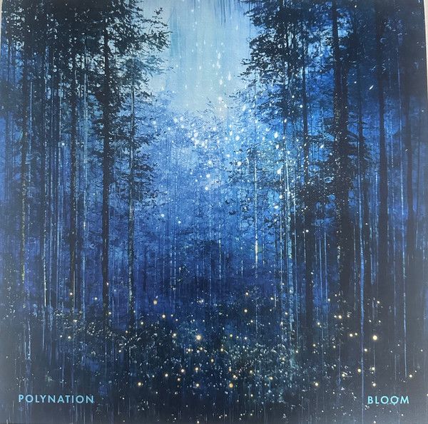 Polynation - Bloom - 12" EP