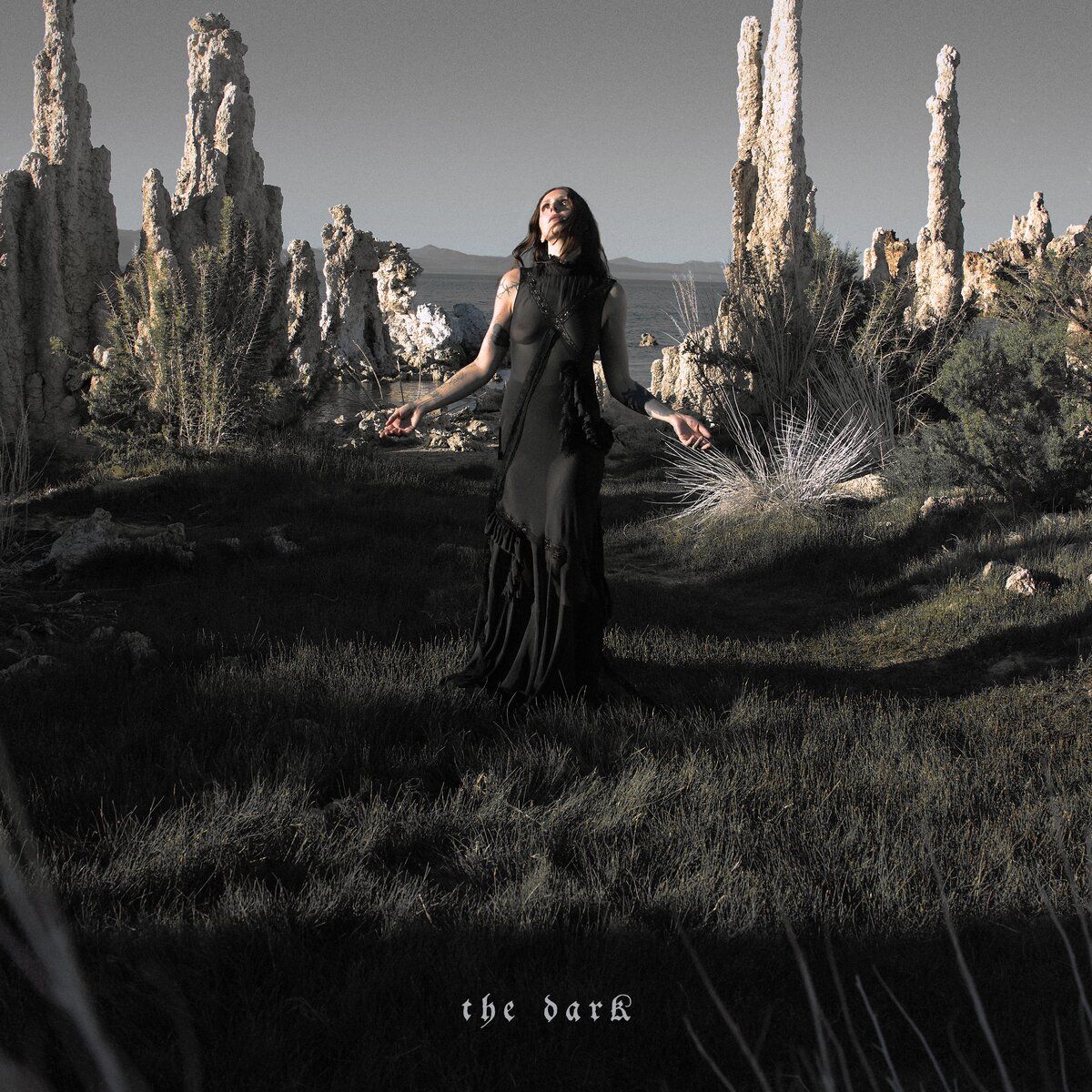Chelsea Wolfe - The Dark - LP