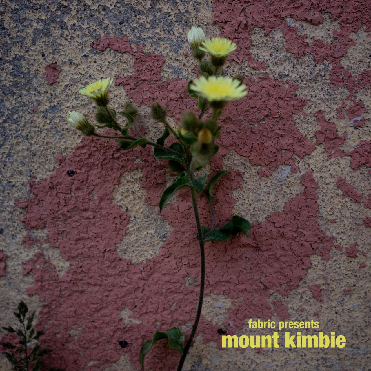 Mount Kimbie - Fabric Presents Mount Kimbie - 2LP